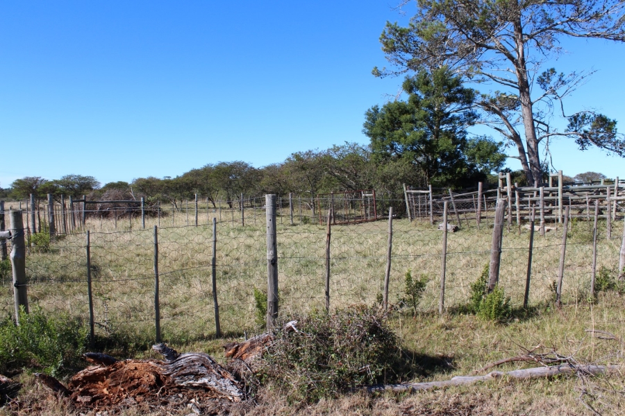 1 Bedroom Property for Sale in Bathurst Rural Eastern Cape
